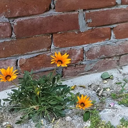 Melekler Panzió