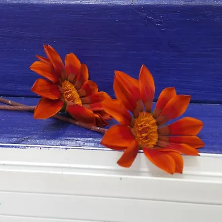 Melekler Couette-café Ayvalı